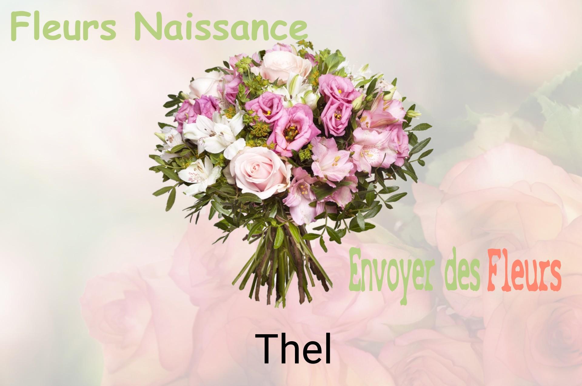 Bouquet de fleurs de naissance livré à Thel